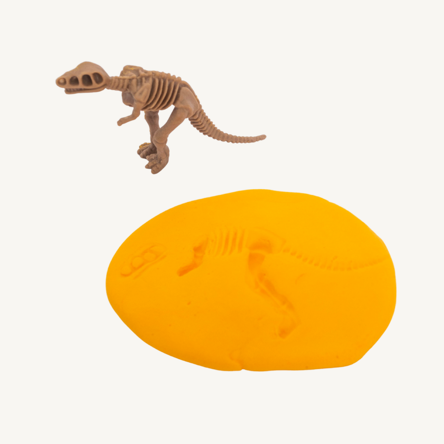 Dino Birthday Party Activity Fossil